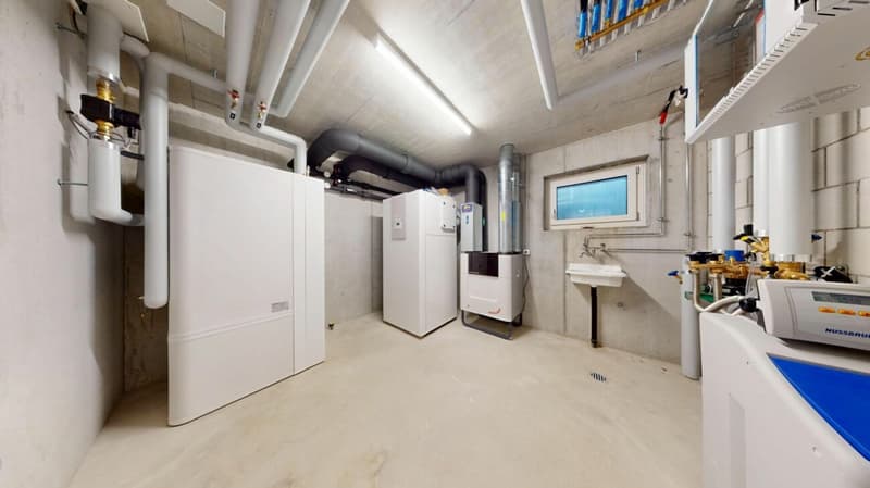 Habitation moderne au niveau le plus élevé - Villa Minergie avec vue sur les montagnes à Auenstein (18)