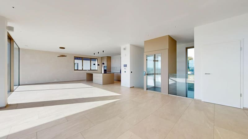 Maison de rêve avec technologie moderne, système solaire et terrasse spectaculaire avec vue sur les montagnes (8)
