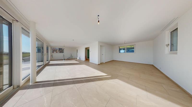 Abitare moderno al livello più alto - Villa Minergie con vista sulla montagna (8)