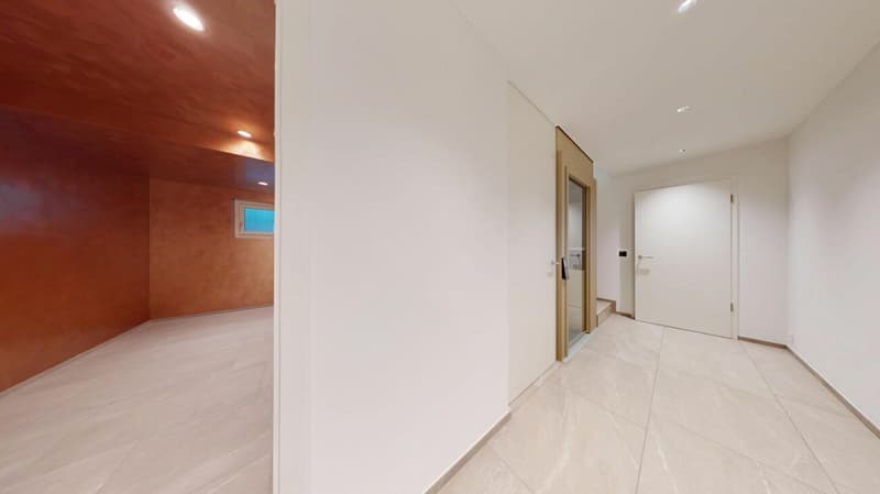 Casa dei sogni con tecnologia moderna, impianto solare e terrazza spettacolare ad Auenstein (17)