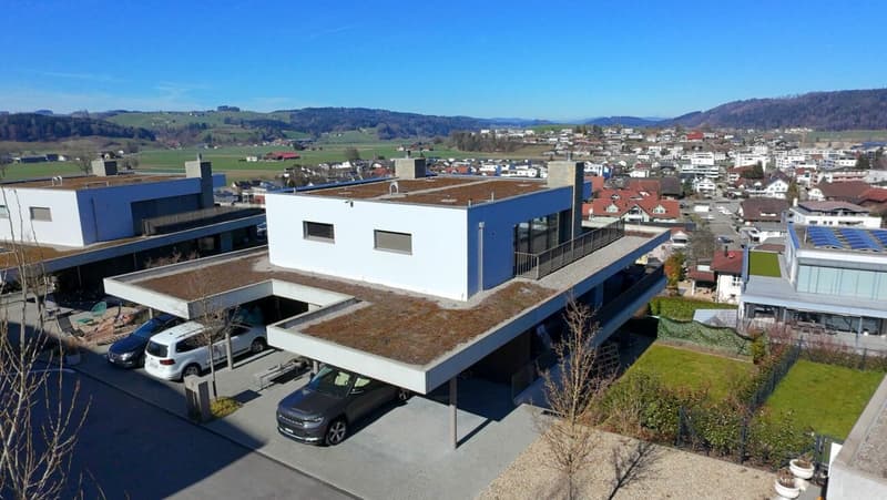 Architect's Statement with Panorama & Gallery, Living at the Highest Level! (3)