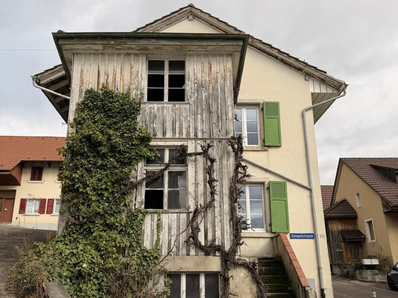 More than just a house: farmhouse with barn and unlimited possibilities (1)