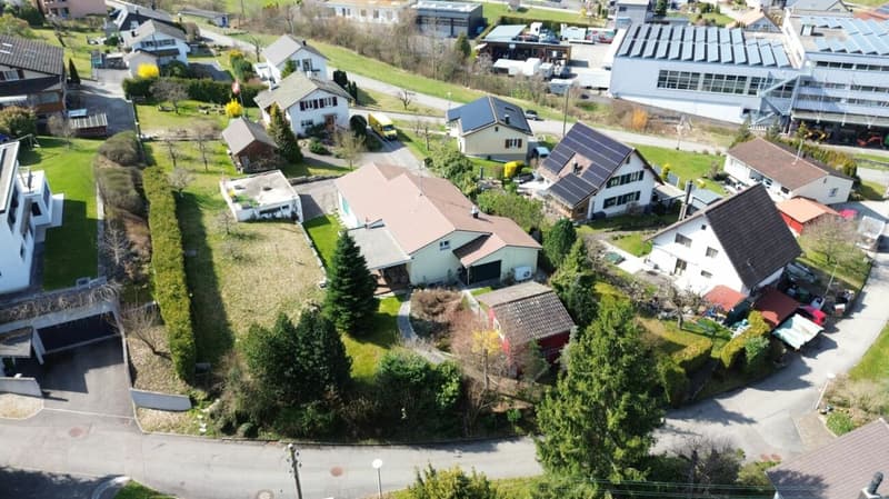 Living in the green with plenty of freedom (3)