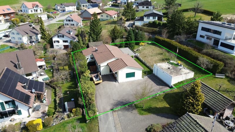 Living in the green with plenty of freedom (2)