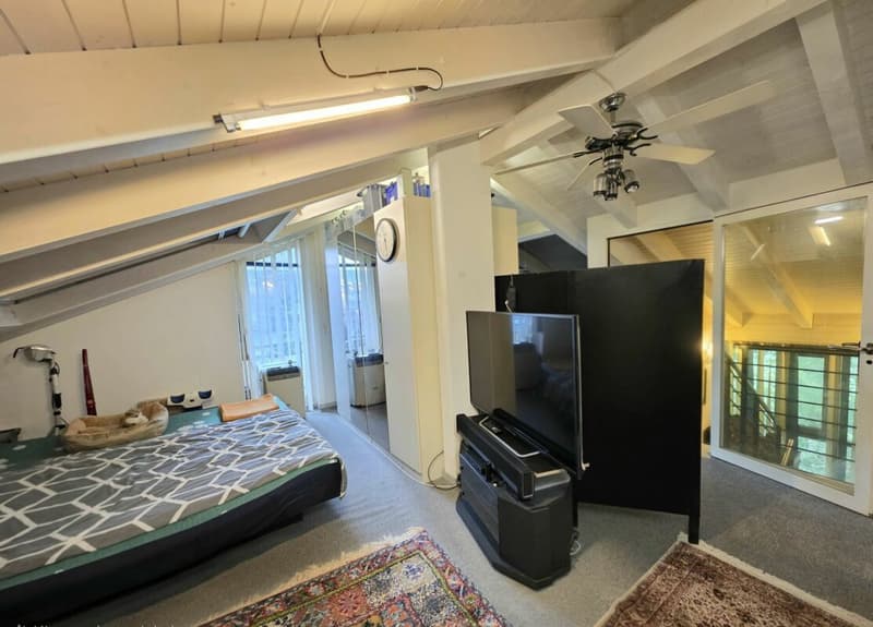 Reserved, Family Idyll with a Far-Reaching View! Spacious Home in Ebikon (11)