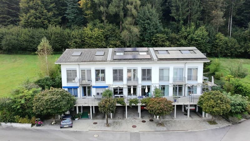 Reserved, Family Idyll with a Far-Reaching View! Spacious Home in Ebikon (2)