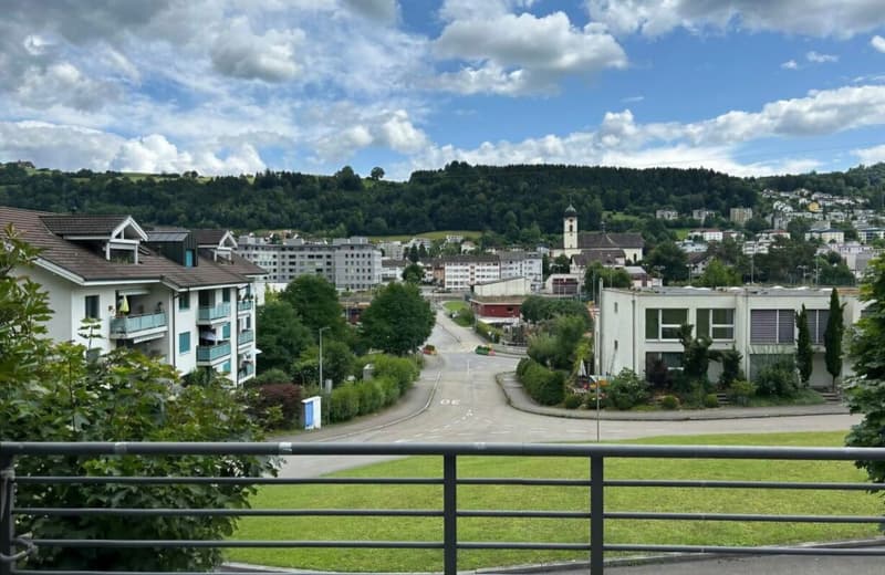 Reserved, Family Idyll with a Far-Reaching View! Spacious Home in Ebikon (15)