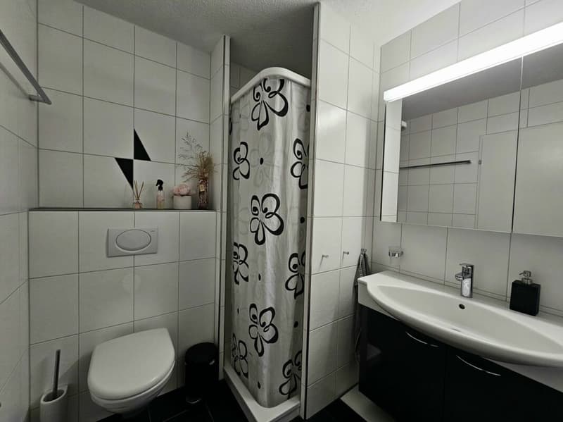 Idylle résidentielle avec proximité de ruisseau - appartement 4.5 pièces avec charme (11)