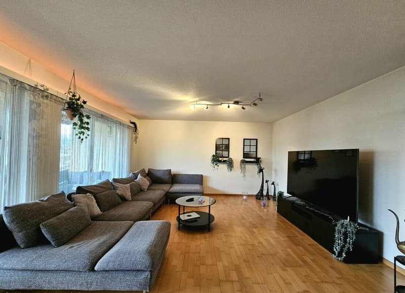 Idylle résidentielle avec proximité de ruisseau - appartement 4.5 pièces avec charme (3)
