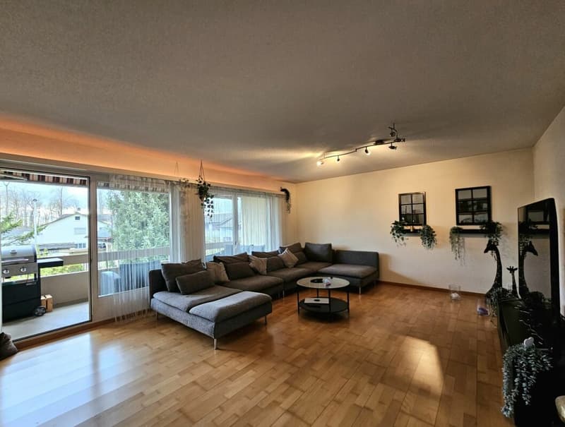Idylle résidentielle avec proximité de ruisseau - appartement 4.5 pièces avec charme (2)