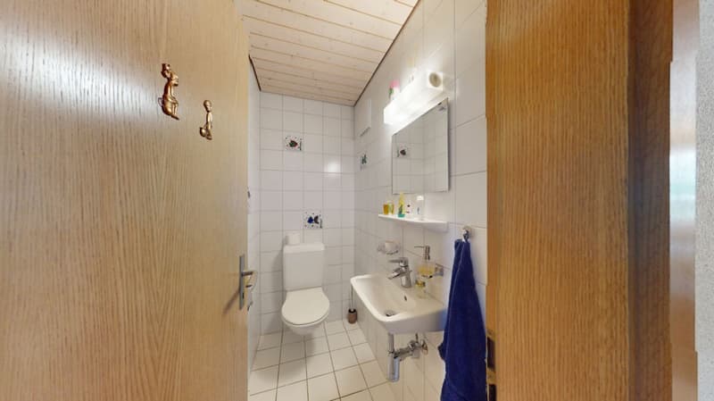Exclusive 6.5-room semi-detached house with sunny winter garden and plenty of living comfort (13)