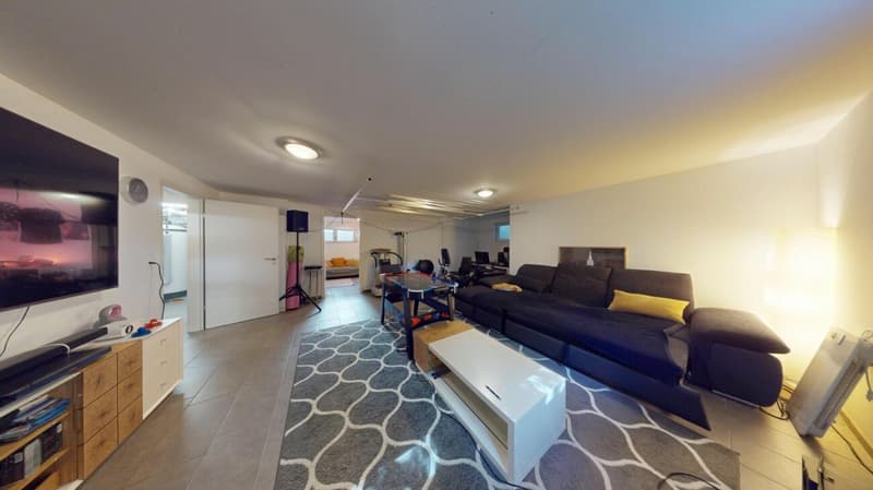 5.5-Zimmer EFH in 2545 Selzach (24)