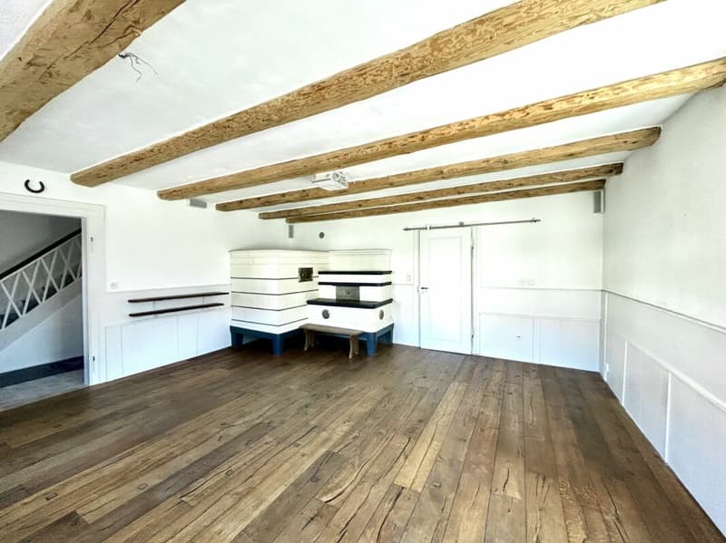 Single-family house with annex and long-term rental potential! (4)