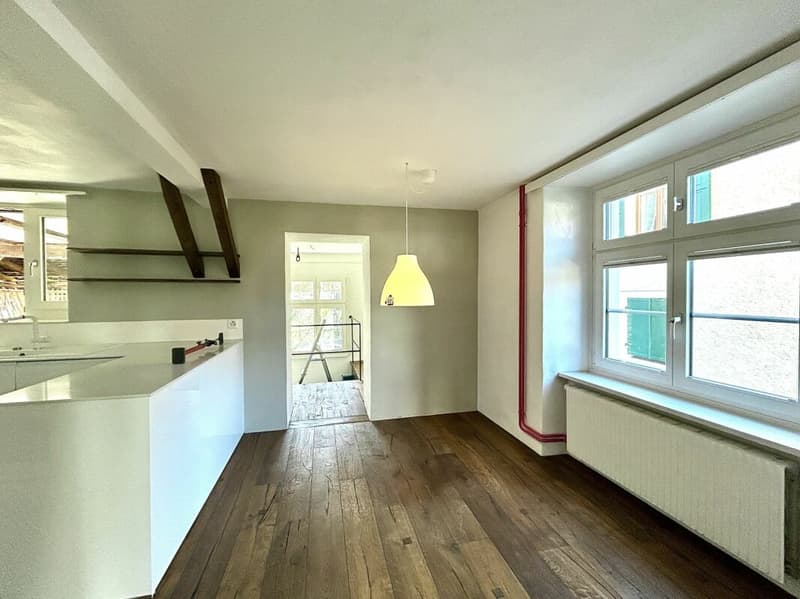 Single-family house with annex and long-term rental potential! (5)