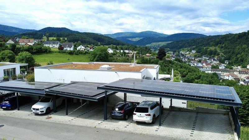 Unique 5.5-room apartment with panoramic views in Hölstein! (16)