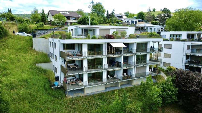 Unique 5.5-room apartment with panoramic views in Hölstein! (17)