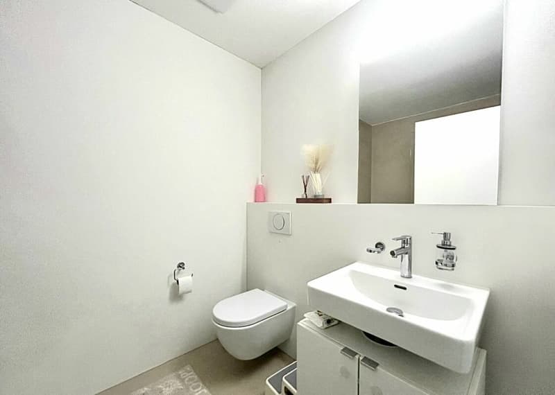 Unique 5.5-room apartment with panoramic views in Hölstein! (12)