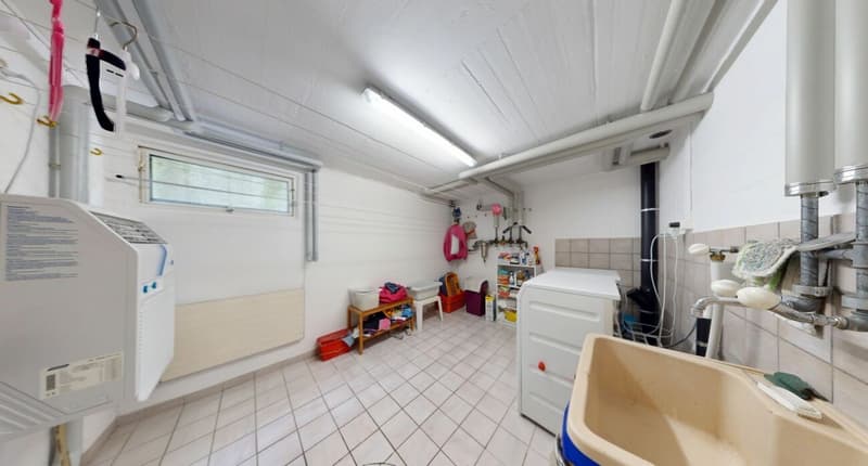 Sun, Garden & Whirlpool - A Home to Fall in Love With! (25)