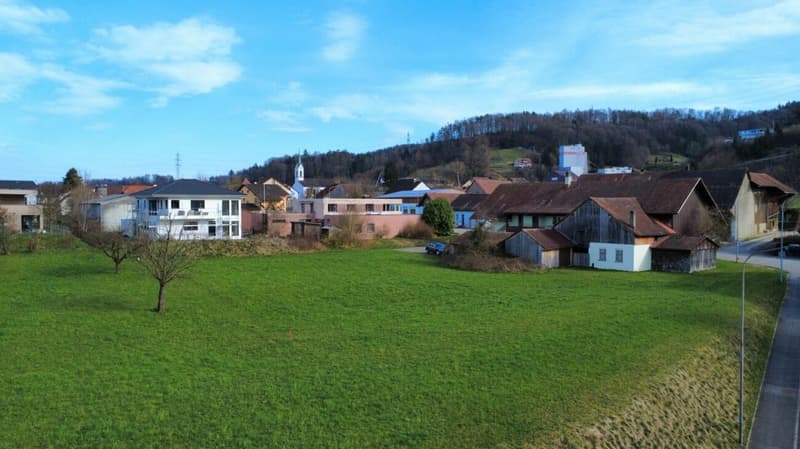 Leibstadt: 3'271 m² de terrain à bâtir avec beaucoup de potentiel (6)