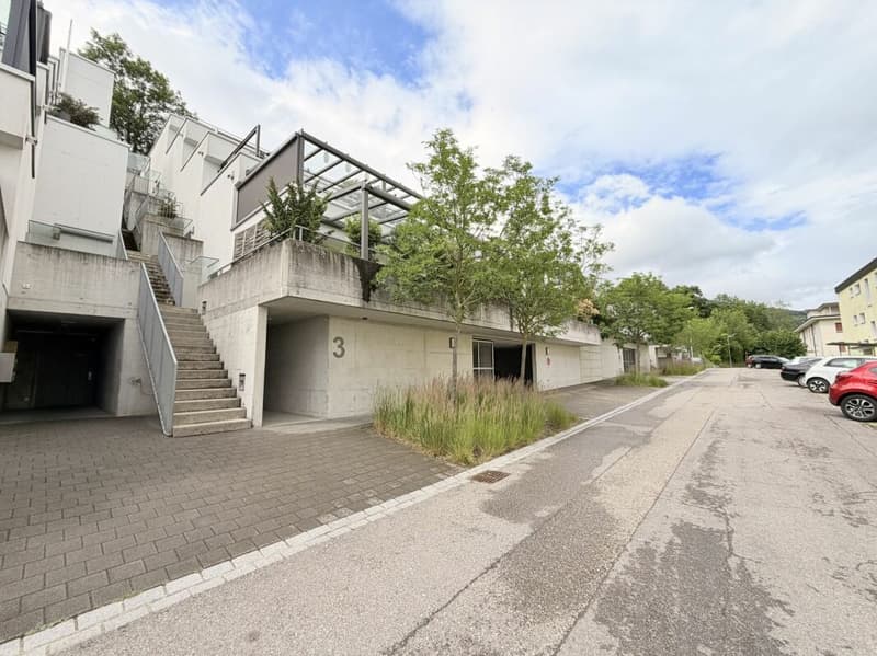 Vue alpine de rêve rencontre le confort de vie - appartement 5.5 pièces avec terrasse XXL (1)