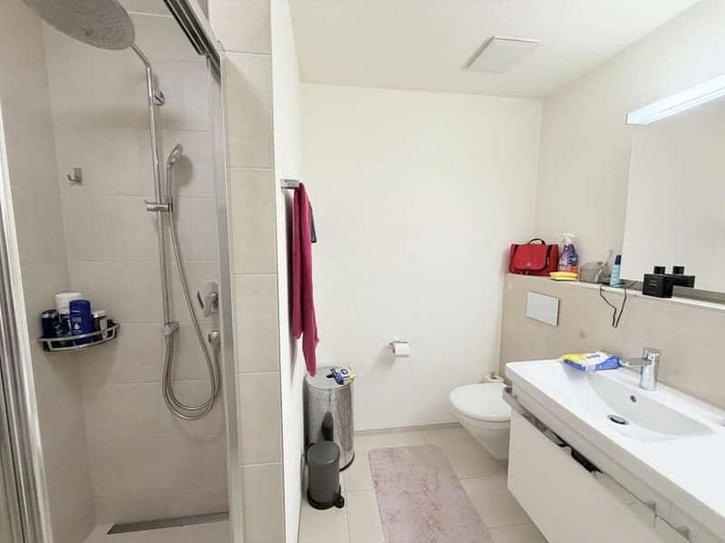 Vue alpine de rêve rencontre le confort de vie - appartement 5.5 pièces avec terrasse XXL (11)