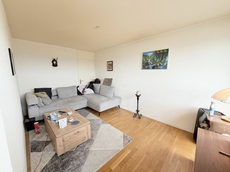 Vue alpine de rêve rencontre le confort de vie - appartement 5.5 pièces avec terrasse XXL (4)