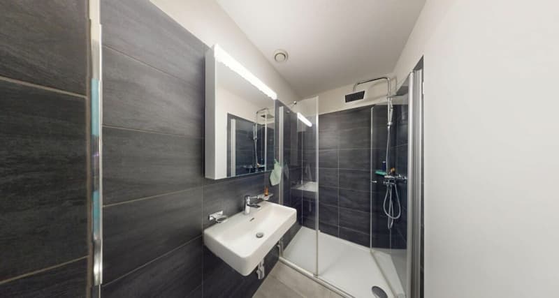 168 m² Wohntraum mit beeindruckender Galerie in Wangen an der Aare (7)
