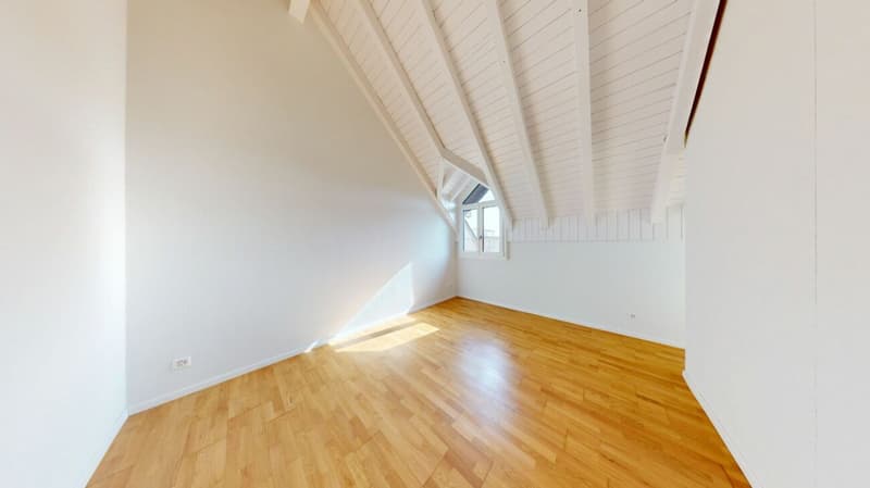 Maisonette da sogno con charme e spazio a Lupfig (6)
