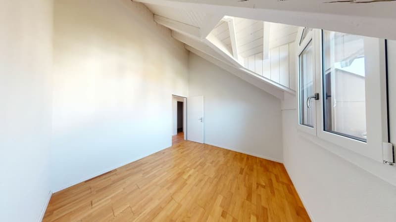 Maisonette da sogno con charme e spazio a Lupfig (7)