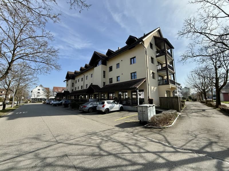 Maisonette da sogno con charme e spazio a Lupfig (14)