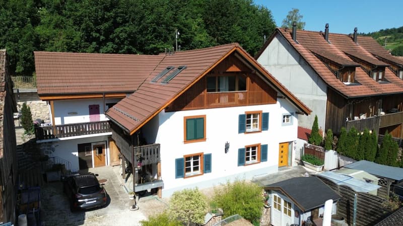 Maison d'habitation avec 4 appartements, rénovée en profondeur & emplacement de vie attrayant à Seewen (1)