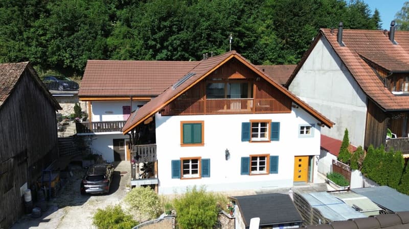 Maison d'habitation avec 4 appartements, rénovée en profondeur & emplacement de vie attrayant à Seewen (2)