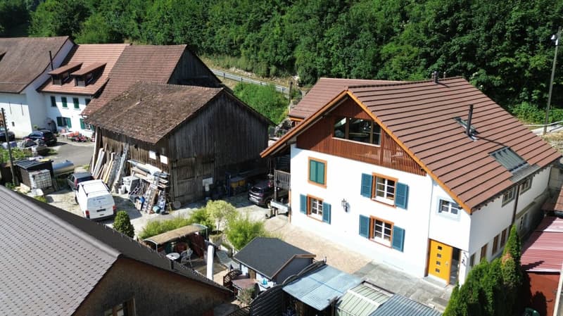 Maison d'habitation avec 4 appartements, rénovée en profondeur & emplacement de vie attrayant à Seewen (3)