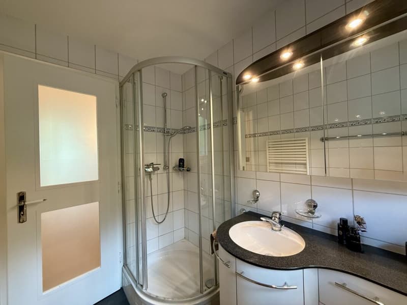 Maison unifamiliale de 5,5 pièces modernisée avec piscine et vue panoramique (17)