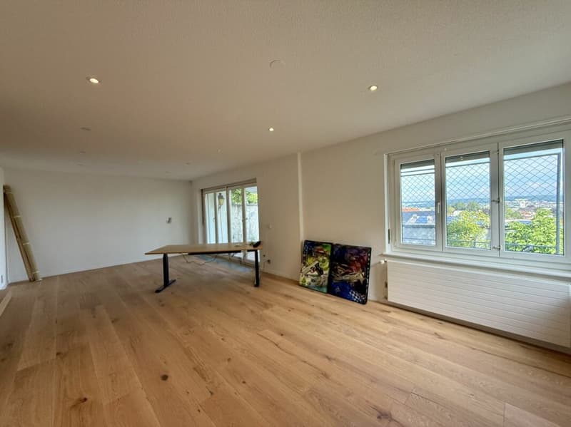 Maison unifamiliale de 5,5 pièces modernisée avec piscine et vue panoramique (14)