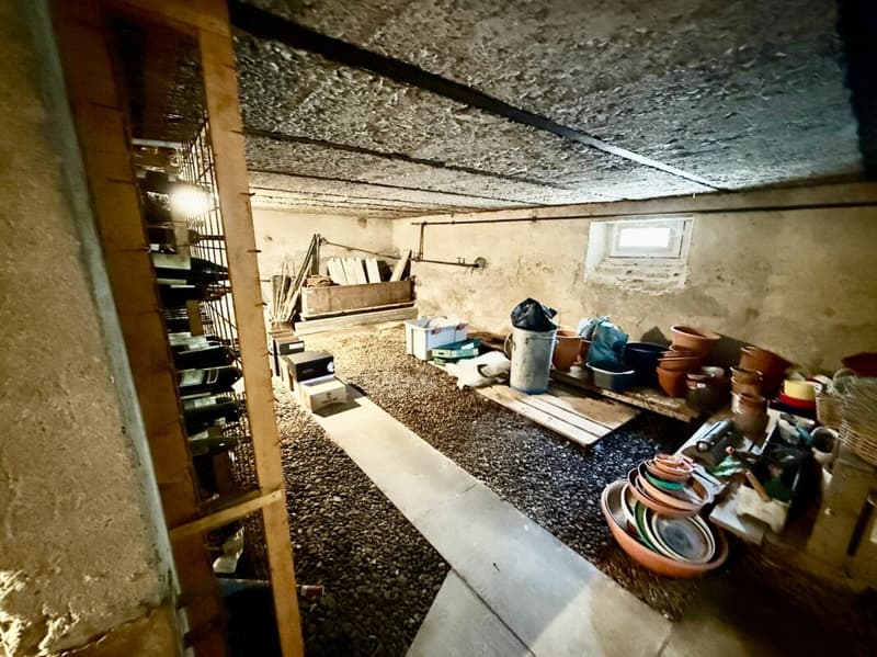 Wohnen, Arbeiten oder Investieren - Bauernhaus mit grossem Potenzial in Busswil (20)
