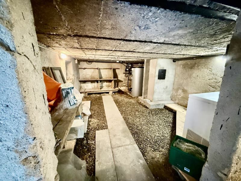 Wohnen, Arbeiten oder Investieren - Bauernhaus mit grossem Potenzial in Busswil (19)