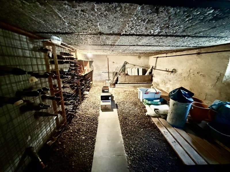 Wohnen, Arbeiten oder Investieren - Bauernhaus mit grossem Potenzial in Busswil (21)