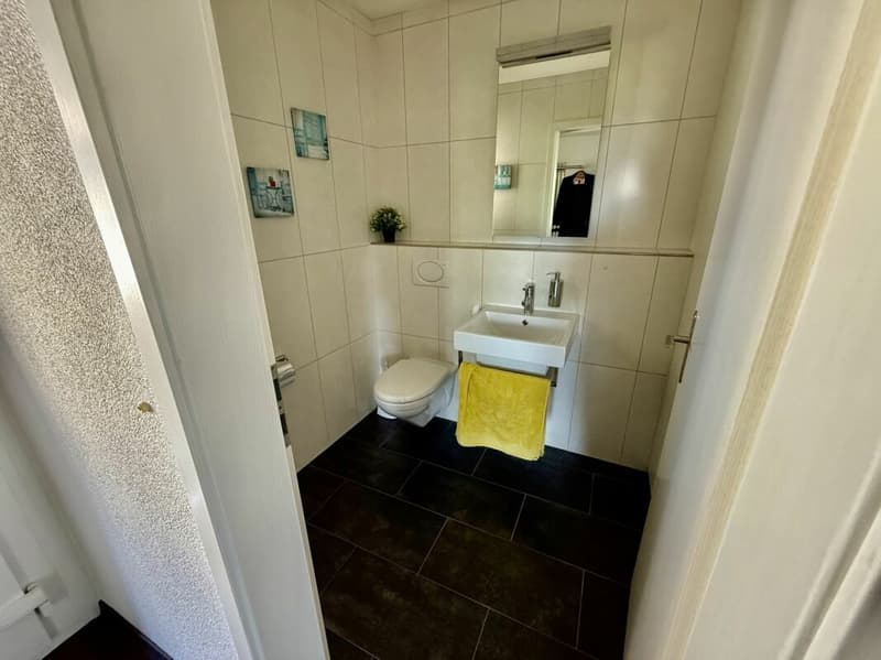 Wohnen, Arbeiten oder Investieren - Bauernhaus mit grossem Potenzial in Busswil (7)