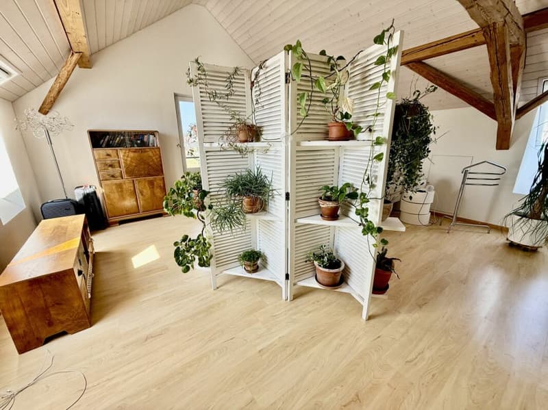 Wohnen, Arbeiten oder Investieren - Bauernhaus mit grossem Potenzial in Busswil (6)