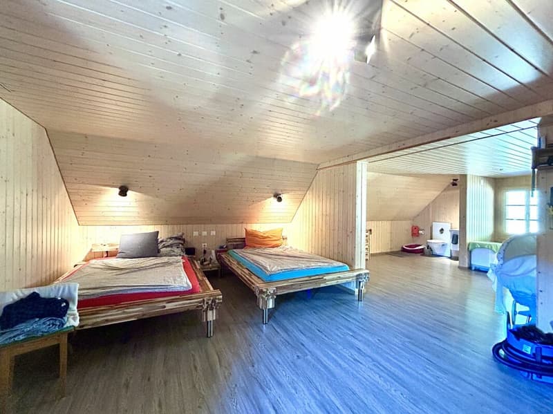 Modernized single-family house with high-quality new building extension and 3 parking spaces! (10)
