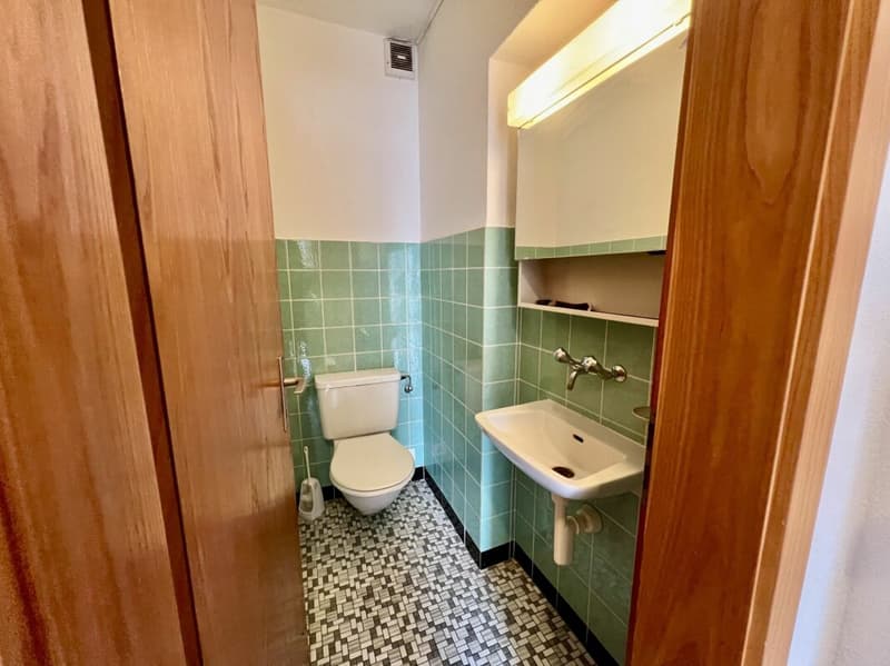 Fully rented multi-family house with three large apartments (10)