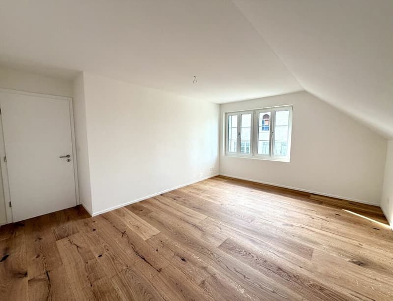 Brand new 4.5 room apartment completely renovated! (6)
