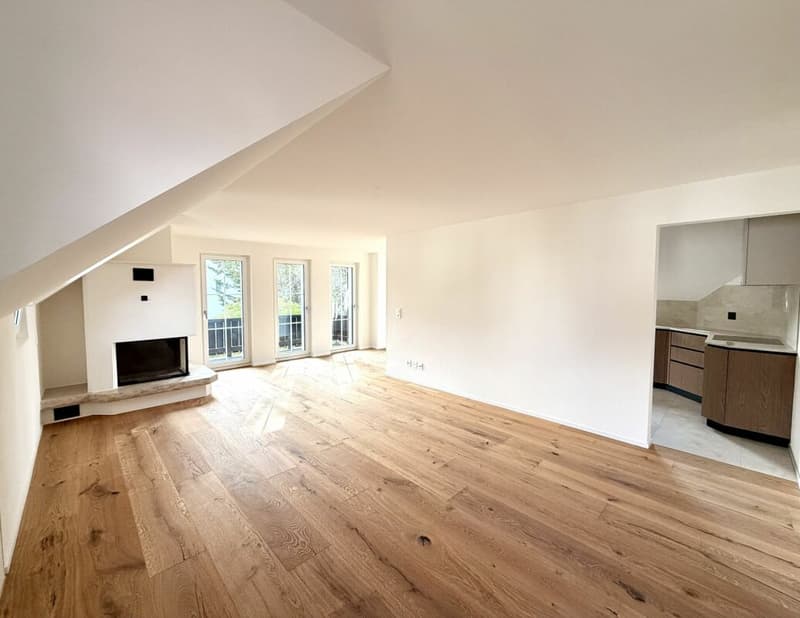 Brand new 4.5 room apartment completely renovated! (2)