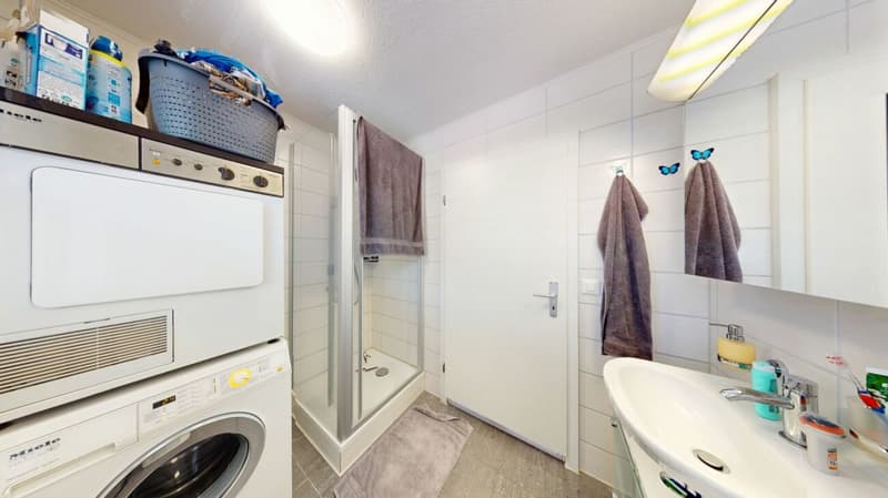 Exclusive 8-room single-family house with annex, large garden and workshop garage in rural location (17)