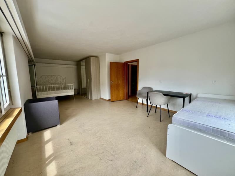 Casa multifamiliare completamente affittata con tre grandi appartamenti (8)