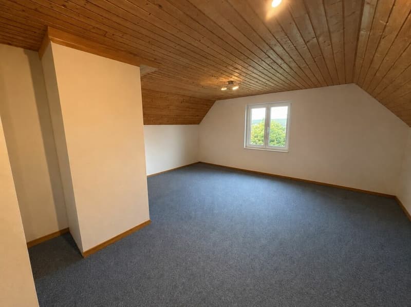 Farmhouse with barn on 2,178 m² - Freedom, charm, and countless possibilities (16)