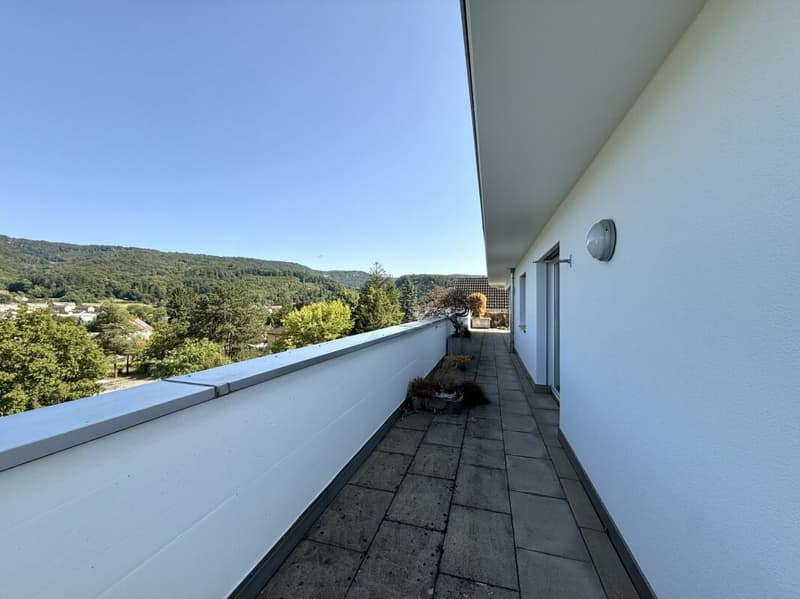 Immediately available - bright attic apartment in Aesch BL (14)