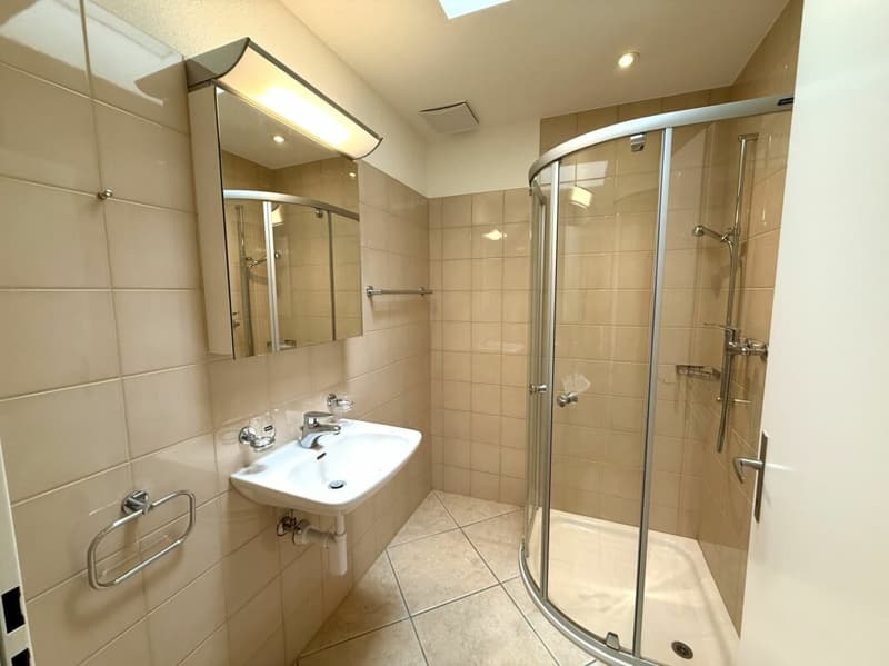 Immediately available - bright attic apartment in Aesch BL (9)