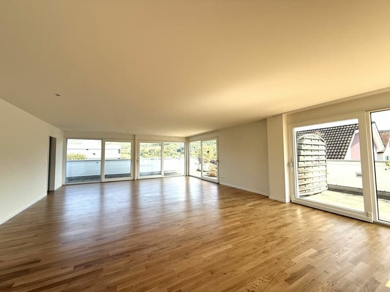 Immediately available - bright attic apartment in Aesch BL (1)